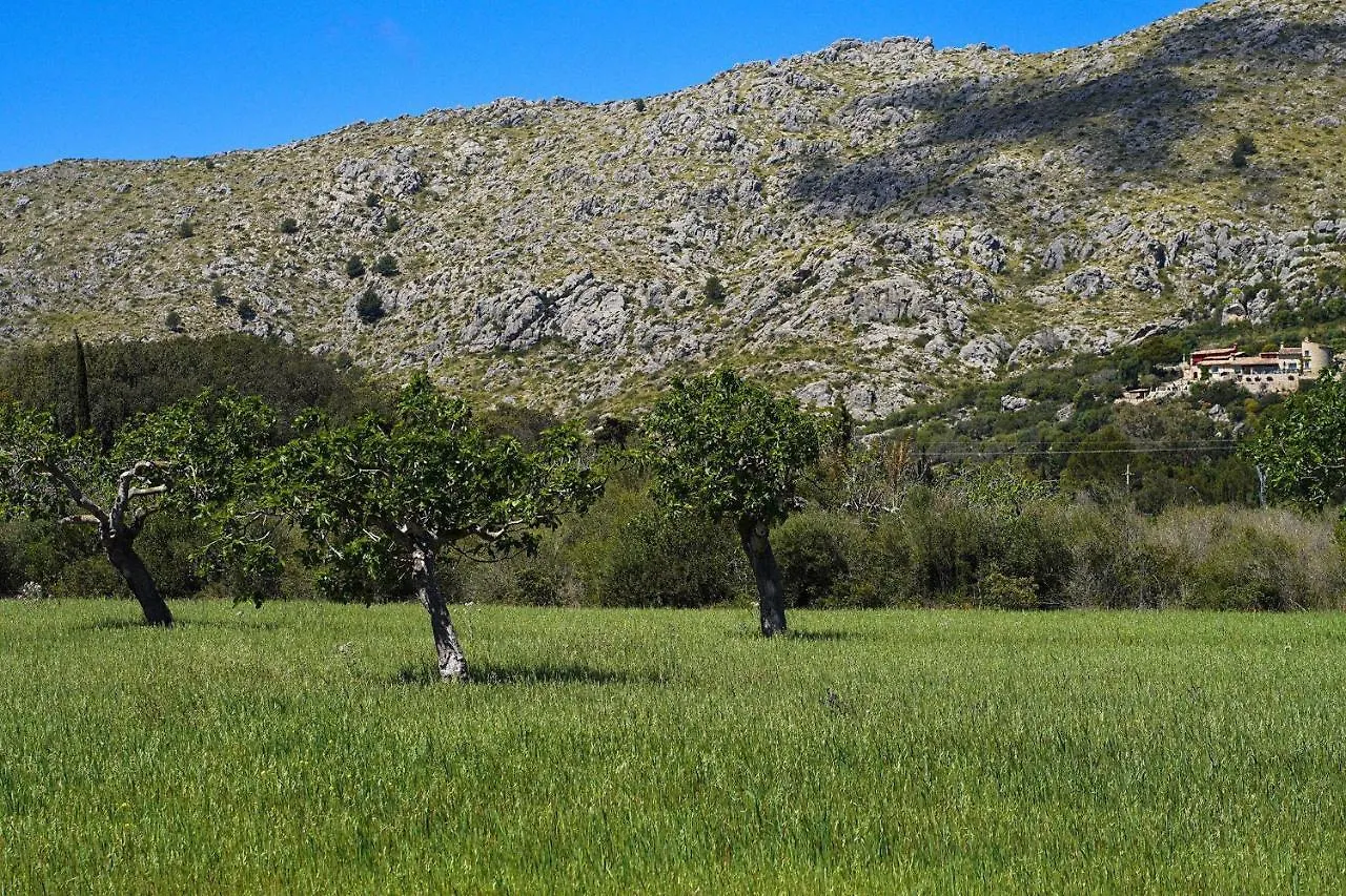 Villa La Vinya Can Oliver - Oliver Pollença Espagne