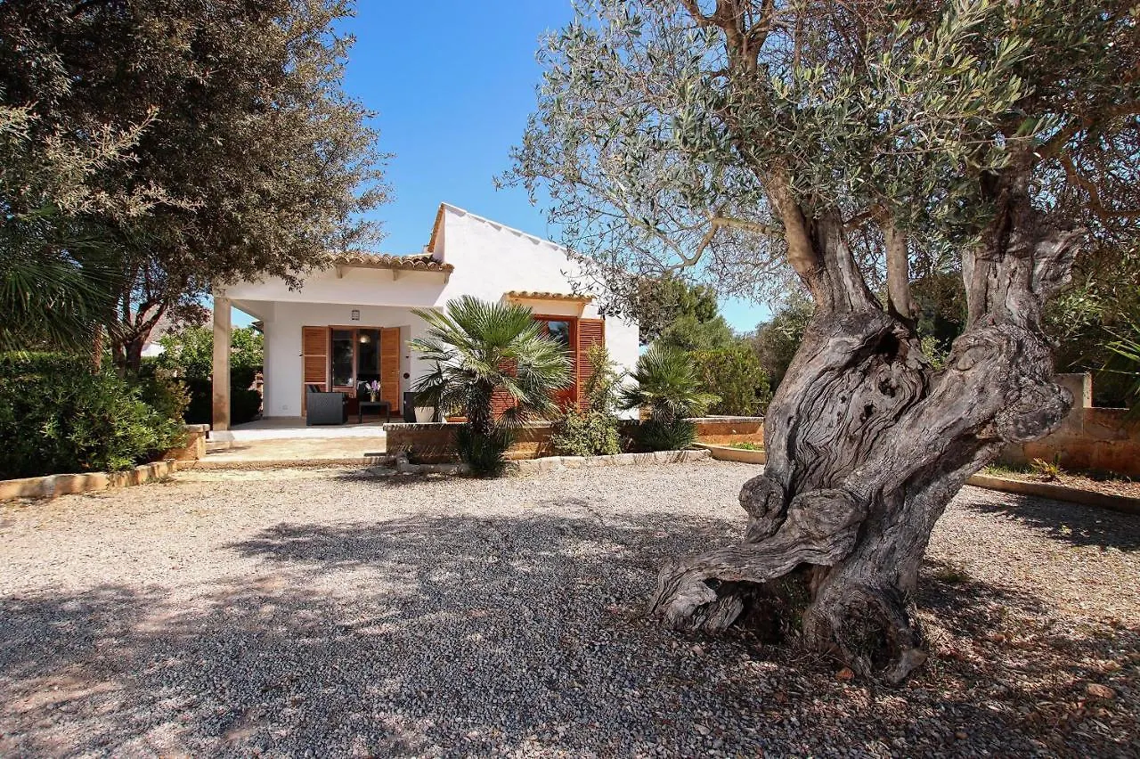 Villa La Vinya Can Oliver - Oliver Pollença